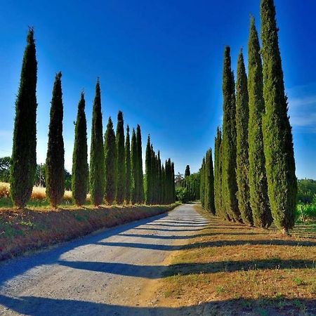 Agriturismo Boschetto Di Montiano Монтиано Екстериор снимка