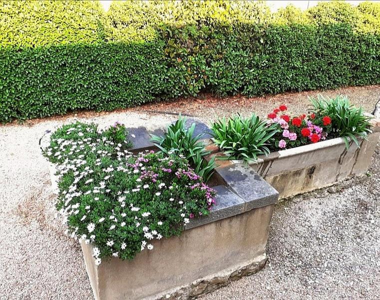 Agriturismo Boschetto Di Montiano Монтиано Екстериор снимка