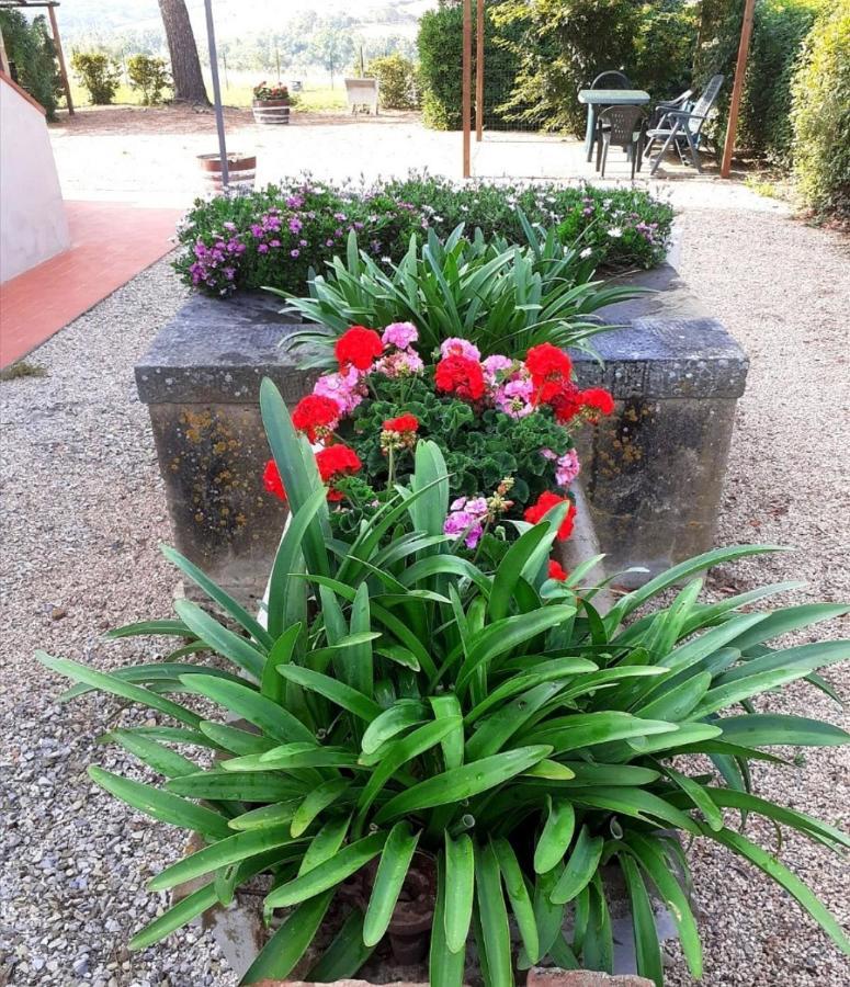 Agriturismo Boschetto Di Montiano Монтиано Екстериор снимка
