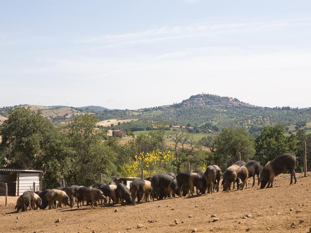 Agriturismo Boschetto Di Montiano Монтиано Екстериор снимка