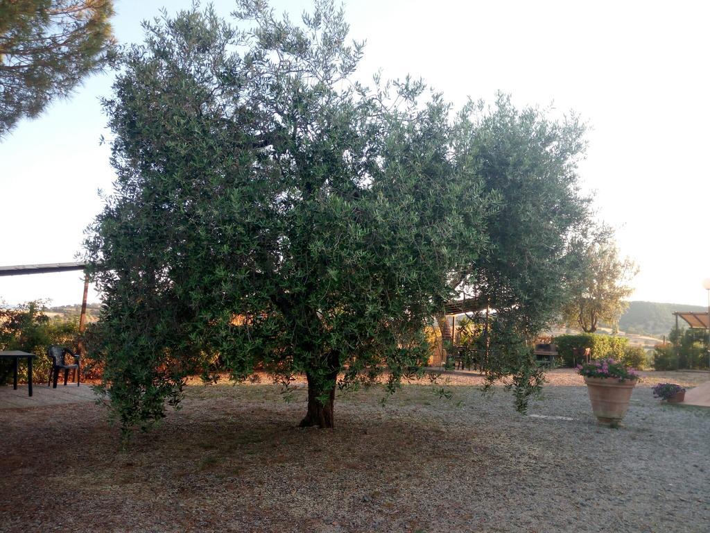Agriturismo Boschetto Di Montiano Монтиано Екстериор снимка