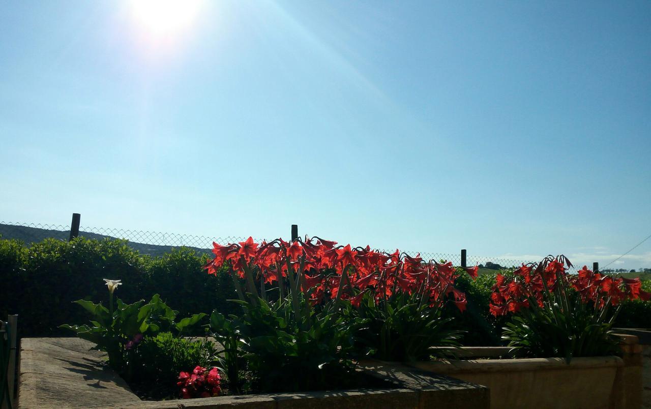 Agriturismo Boschetto Di Montiano Монтиано Екстериор снимка
