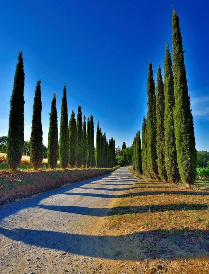 Agriturismo Boschetto Di Montiano Монтиано Екстериор снимка